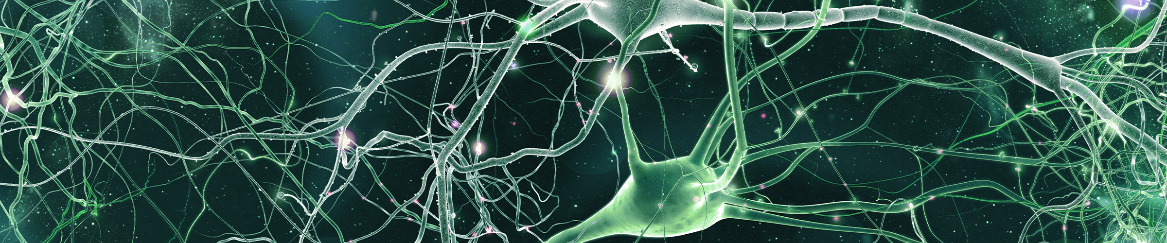 A New Chapter for the Cypriot Flesh & Blood Community