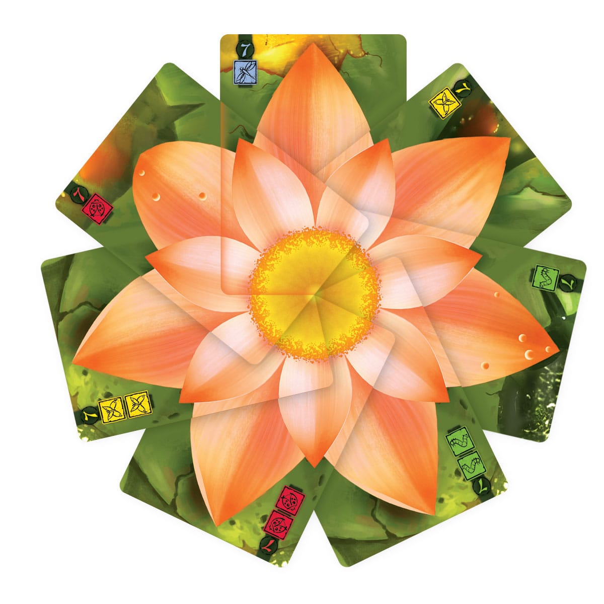 Lotus